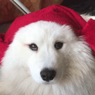 How Fast Her Mood Changes