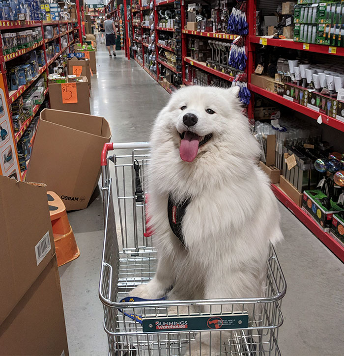Always Happy At The Hardware Store!