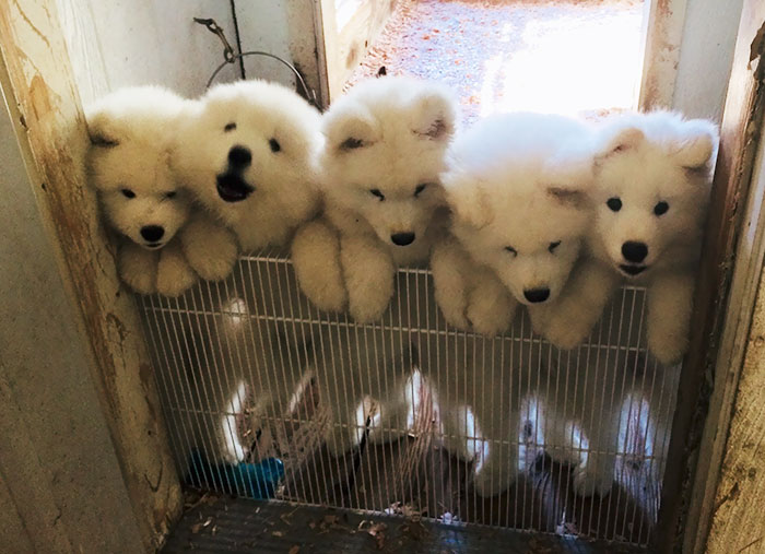 We Want Our Breakfast Now!