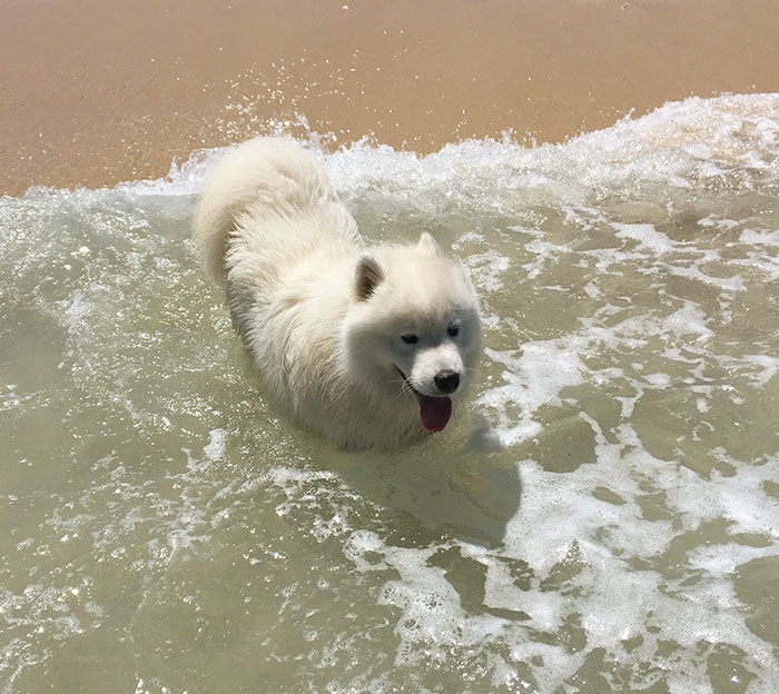 When A Cloud Touches The Water It's Called Fog