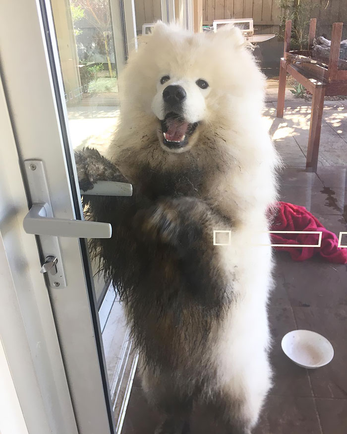 Not Sure Why You've Locked The Door