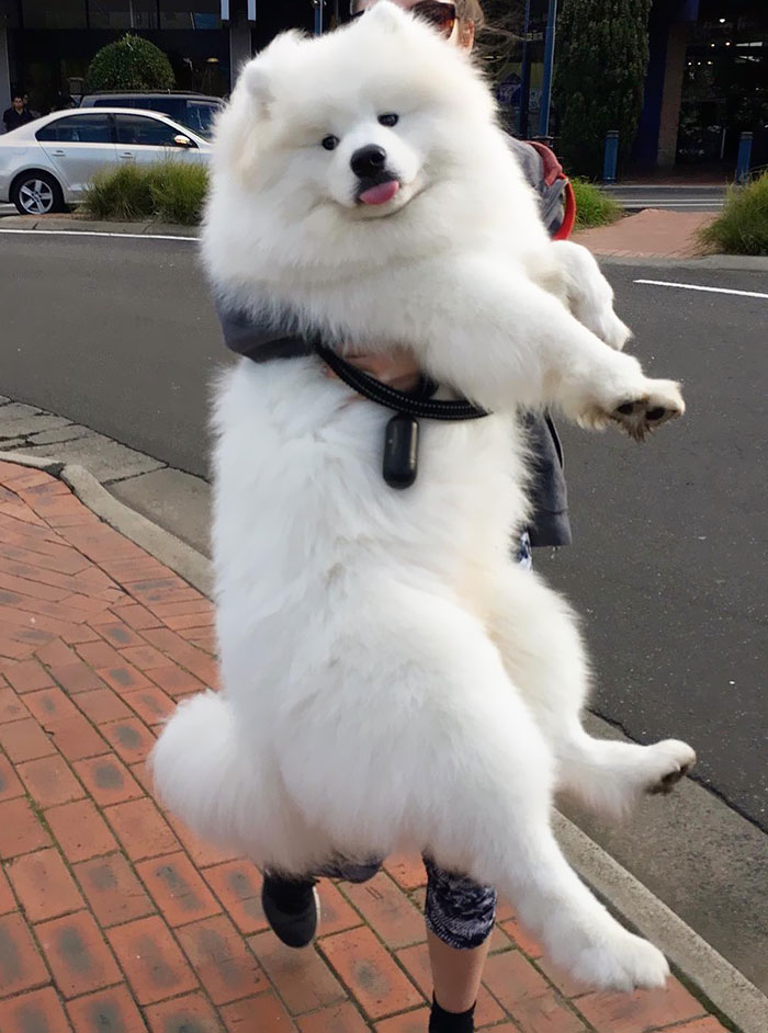 Sometimes Mum Has To Carry Me Across The Road Because I Get Too Distracted