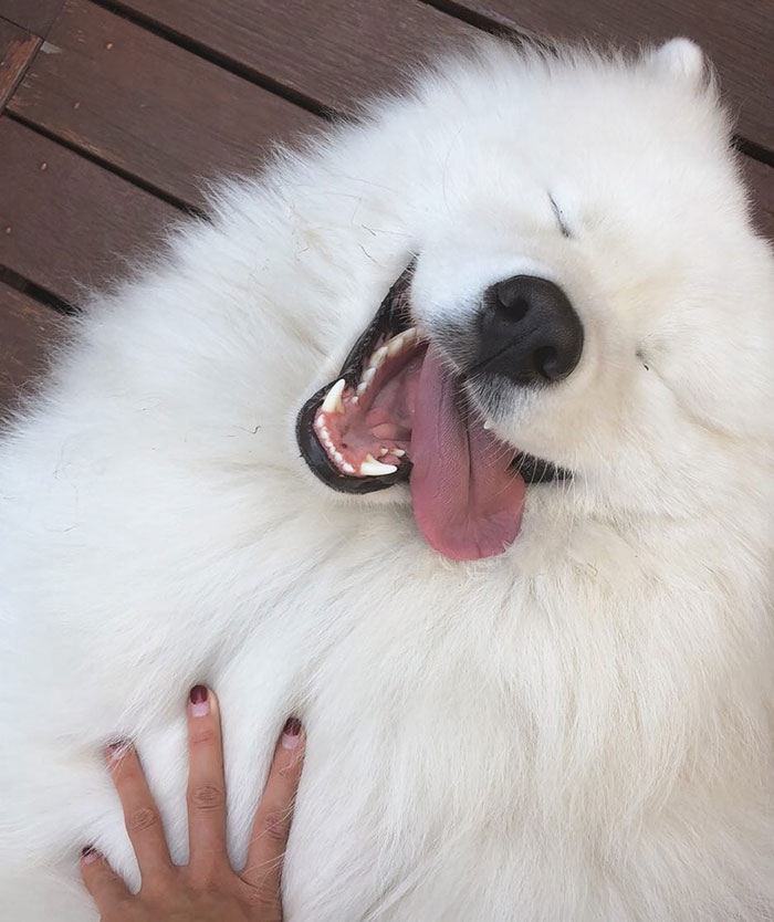 Hey Y’all It’s Friday