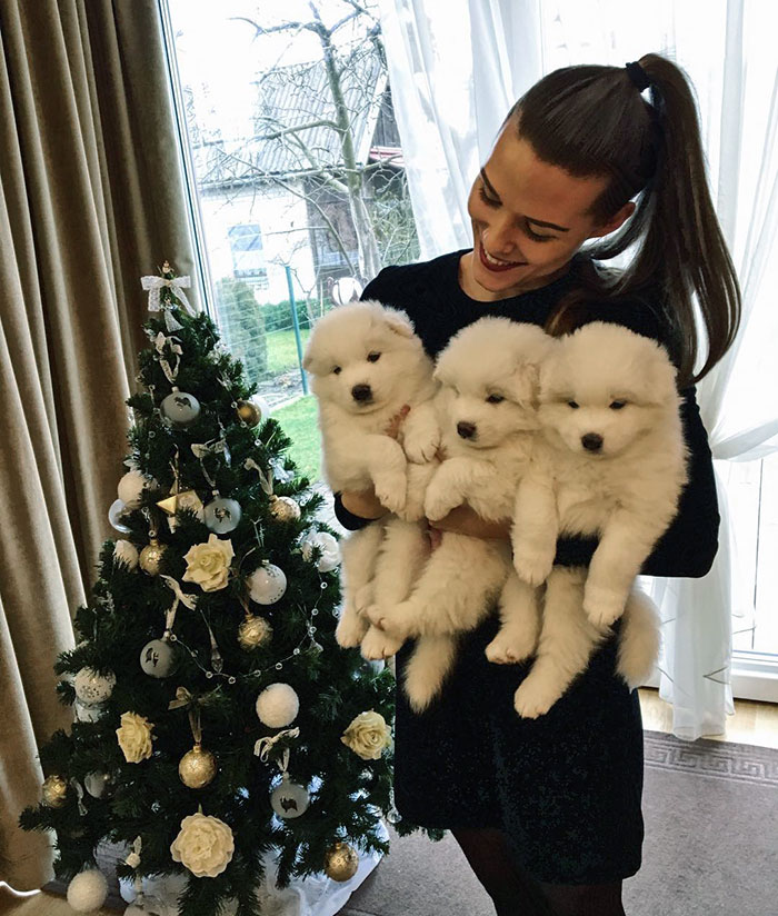 Imagine Getting Up On Christmas Morning And These 3 Guys Are Waiting For You Under Your Christmas Tree