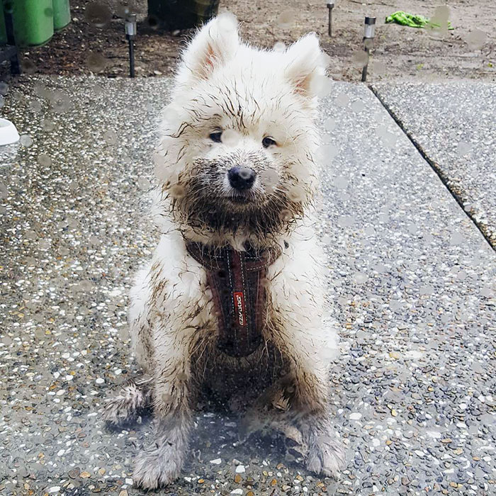 It's Not Always Cotton Wool N' Sunshine