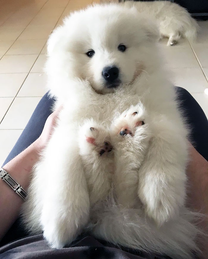 Wot? This Is My Comfy Position