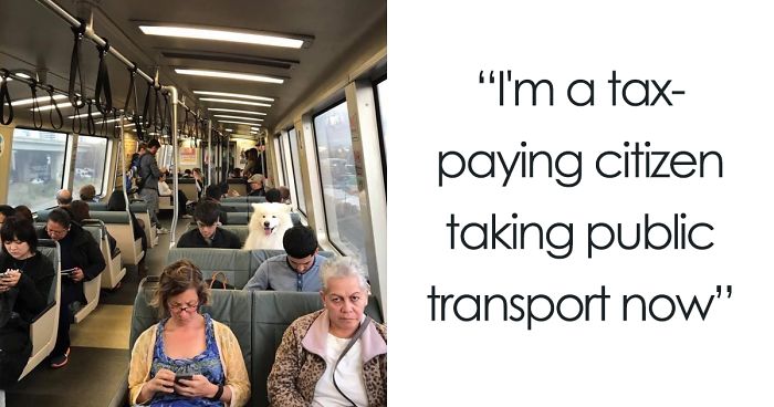 If These 302 Samoyed Photos Don’t Make You Smile, Nothing Will