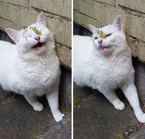 She's Not Very Bright