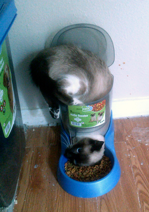 I'm Afraid This Is Not How It Works