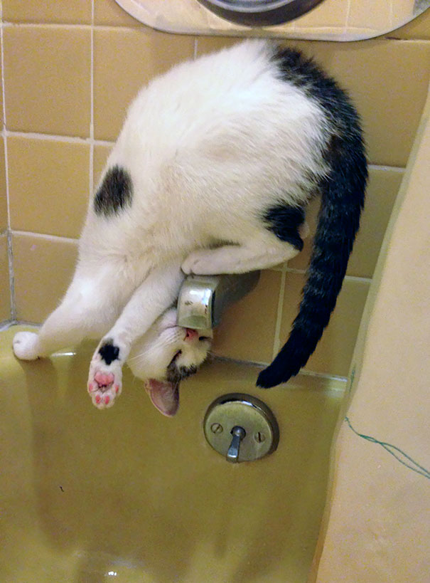 Normally She Goes For Faucets. This Is New