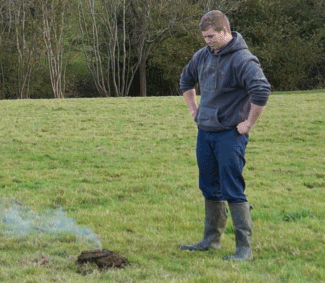 Natural Selection In Action