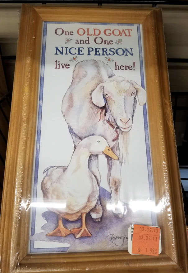Okay But What About The Goose?
