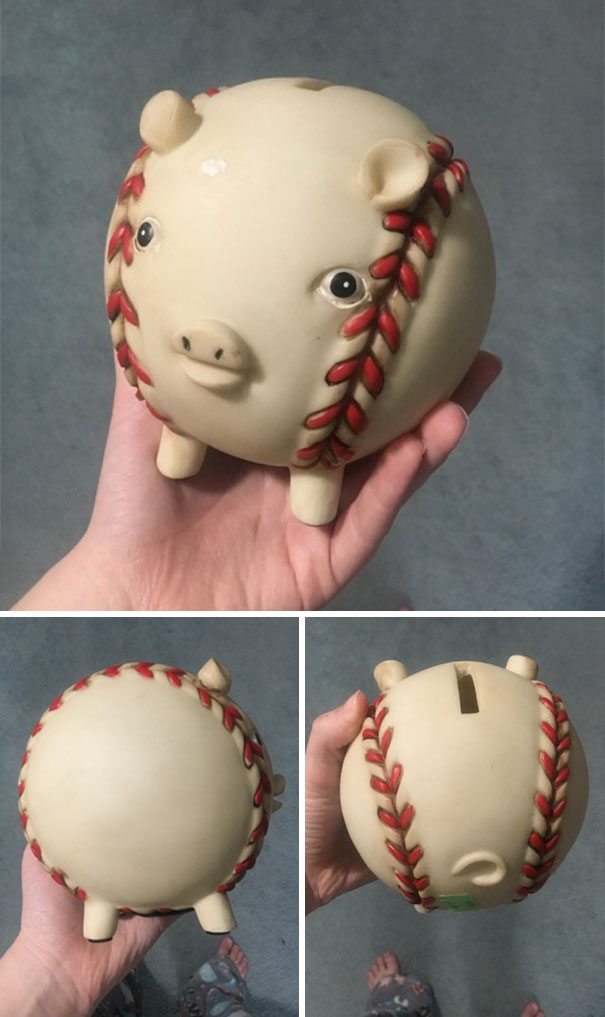 Pig That Was Created In God’s Blind Spot Located And Brought To Its Forever Home In Kalamazoo, Mi