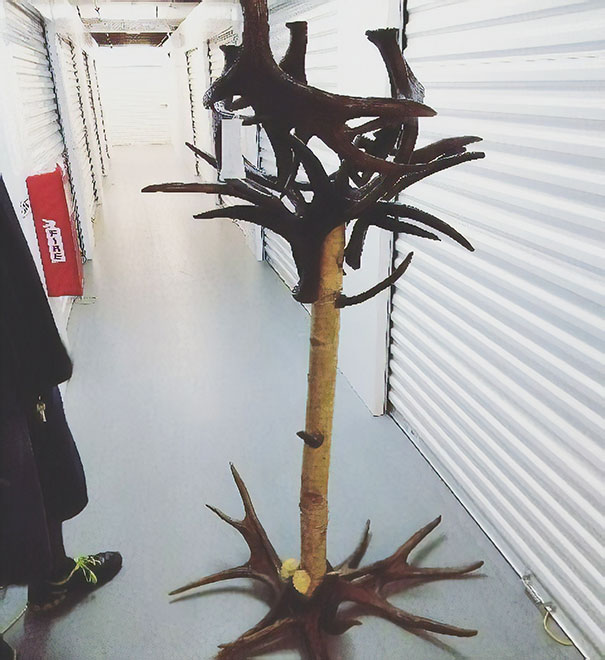 Not Sure What I'm Looking At