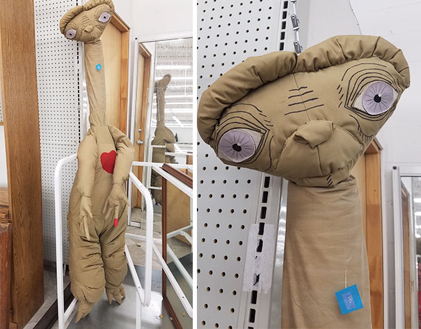 So I Went To A New Thrift Store Yesterday And Found This. $8