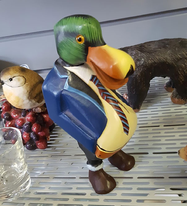 That Is One Dapper Mother-Ducker