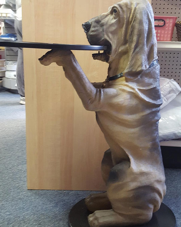 I Don't Think I Would Ever Want To Meet The Person Who Owned This