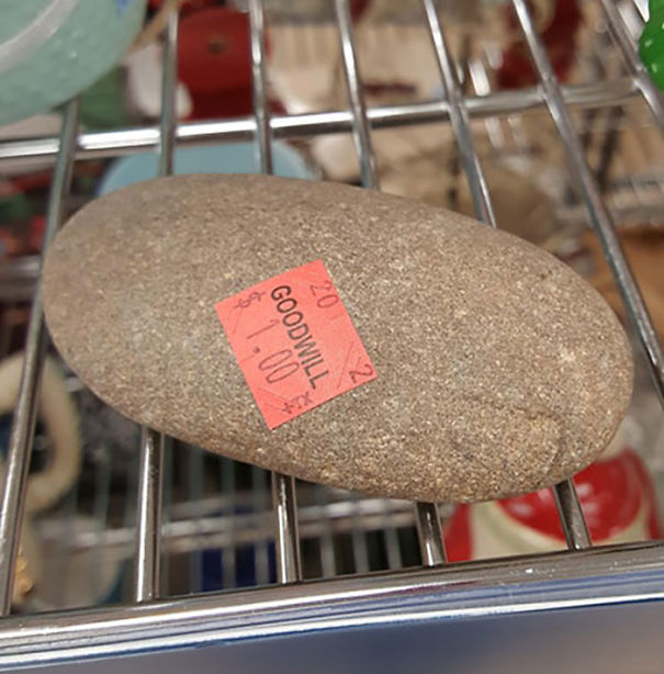 Goodwill Was Selling A Rock