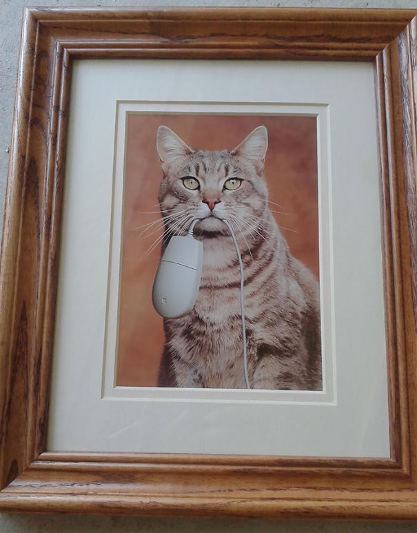 Goodwill Really Paid Off Today