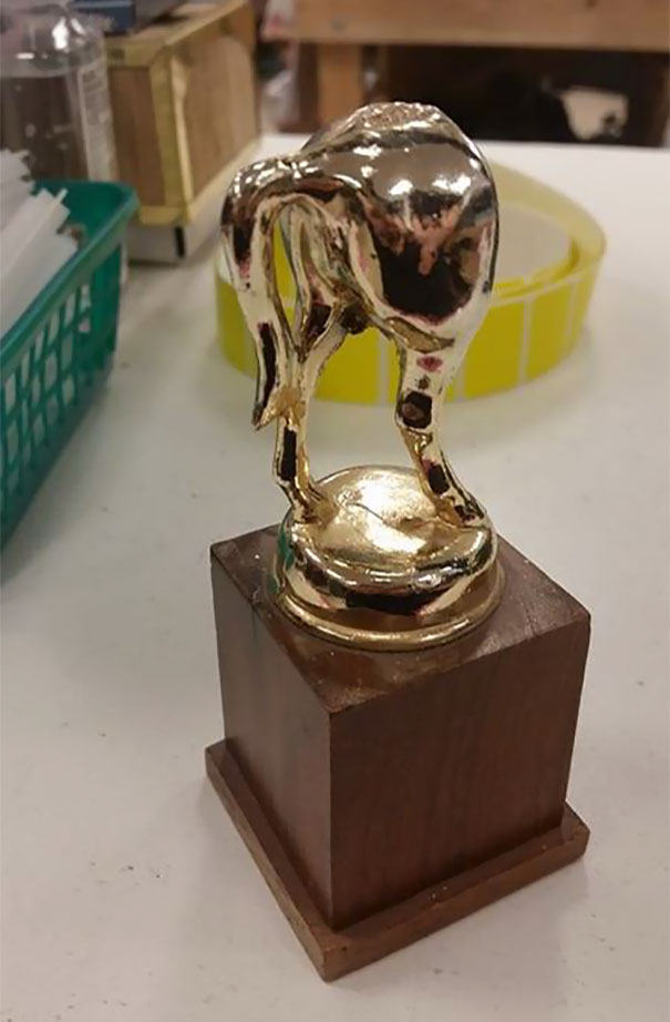 I Would Be Proud To Win This Award