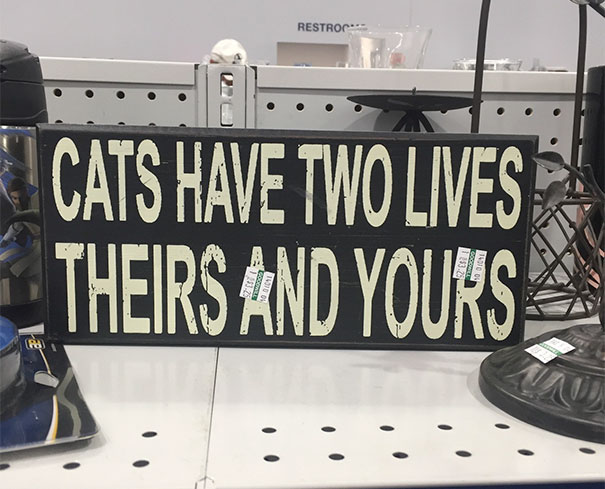 Thank You Goodwill For This F*cking Ominous Prophecy