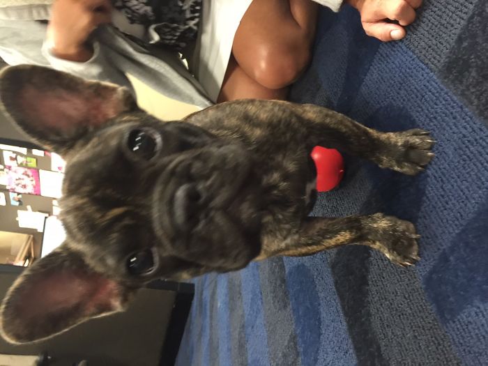 The First Time I Met Him! My Husband Surprised Me At Work! Greatest Gift In The Entire World, All Time!