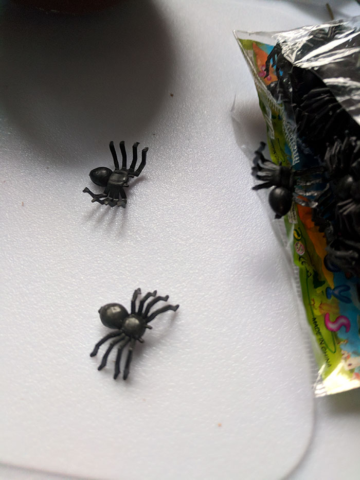 girlfriend-april-fools-easter-egg-speedflychris (5) girlfriend-april-fools-easter-egg-speedflychris (5)