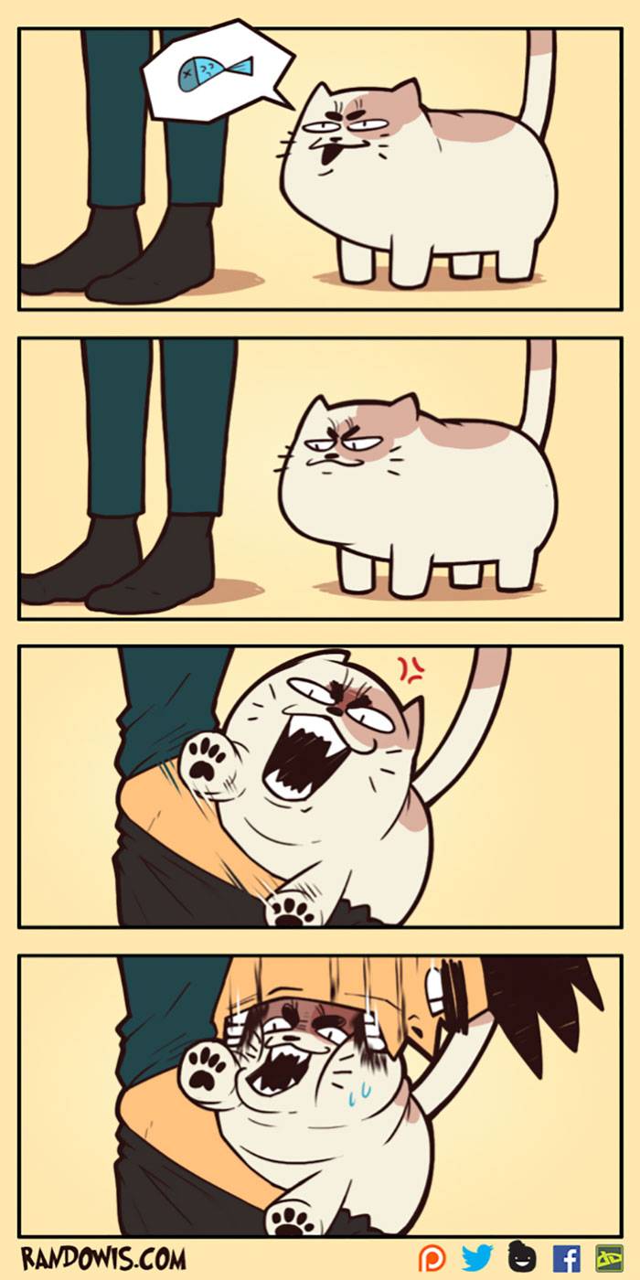 Fun-Weird-Comics-Randowis