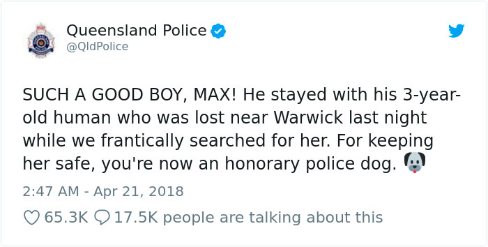 This Dog Protected A Toddler For 15 Hours In The Wild And Is Now An Honorary Police Doggo