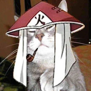 jenny-sorensen avatar