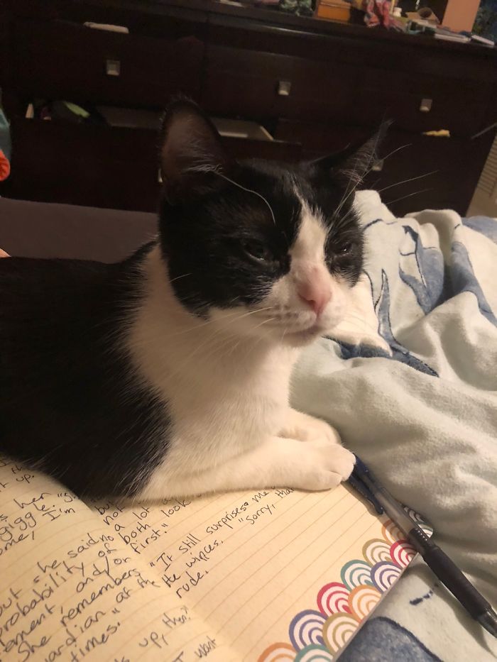 Notice How She Is Covering The Notebook And The Pen