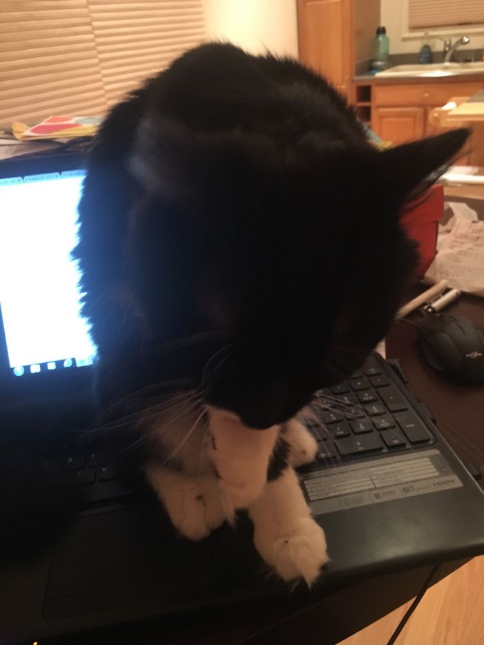 Your Work Can Wait , Let Show You How I Clean Myself, I Know You Were Dying To See This!