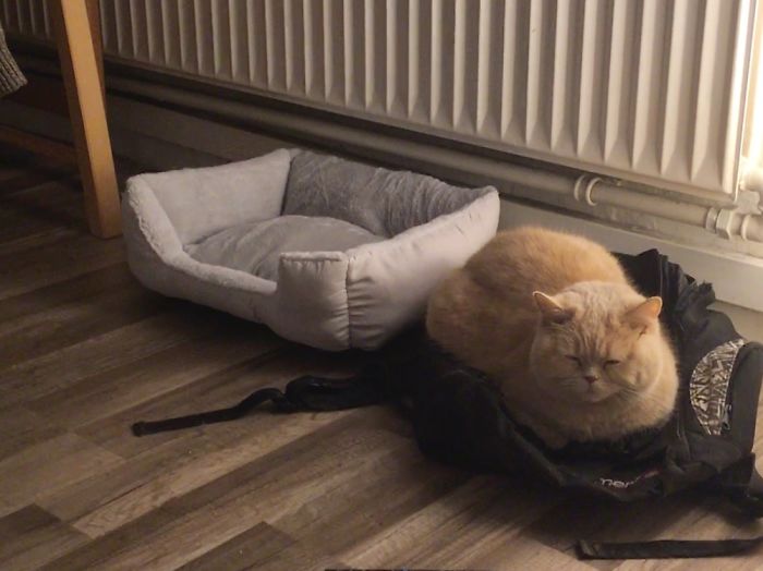 Decisions Were Made.