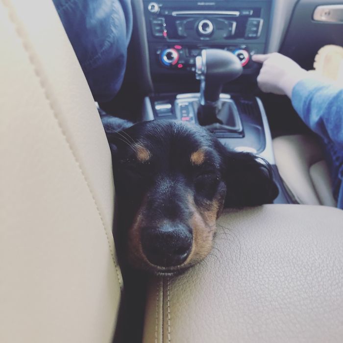 On A Road Trip With Olivia