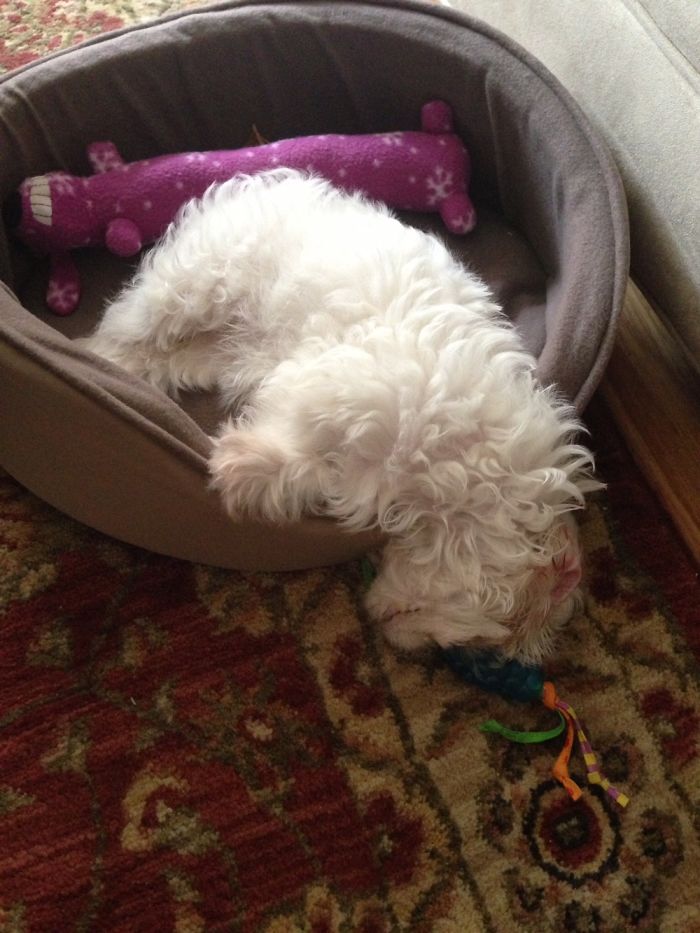 Play Hard, Sleep Harder