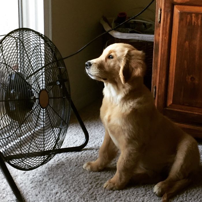 My Brie, Her Favorite Place Still! 😂