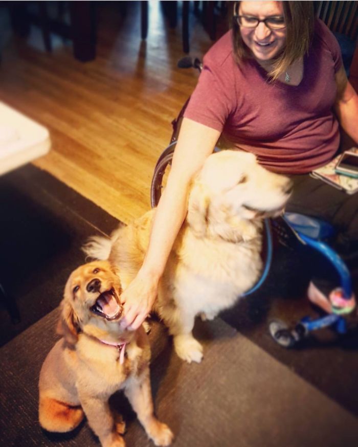 The Day We Brought Roomba Home... 3.5 Months Old.