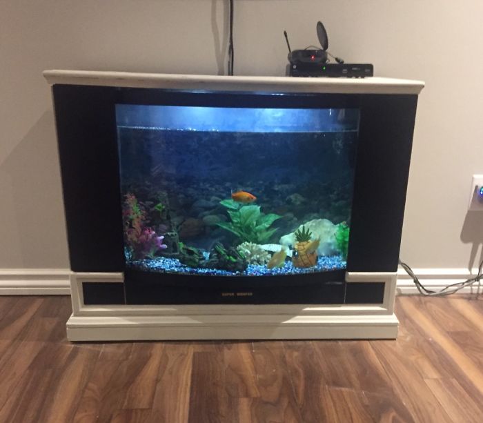 An Old Sears Floor Model Tv- Gutted And Turned Into A Fish Tank Tv Lol !