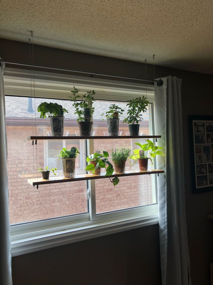 Hanging Shelves My Husband Made For Our Plants And Herbs! Made With Just Wood And Cables!