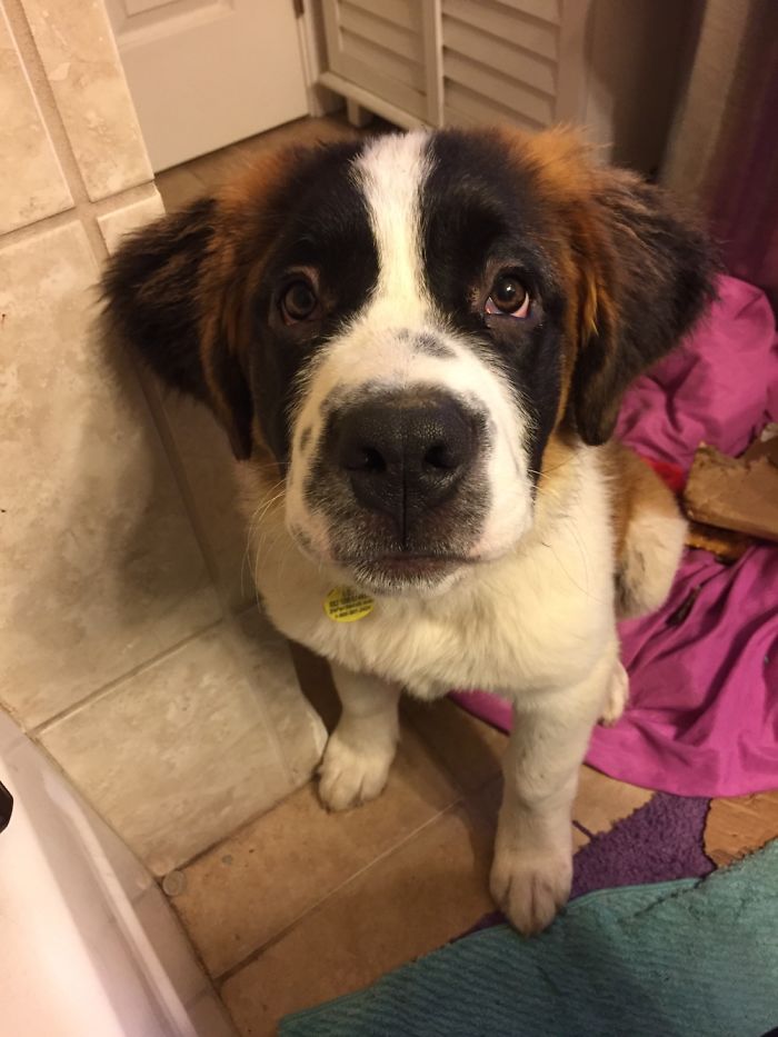 Oh...hi Mom, You’re Home Early...