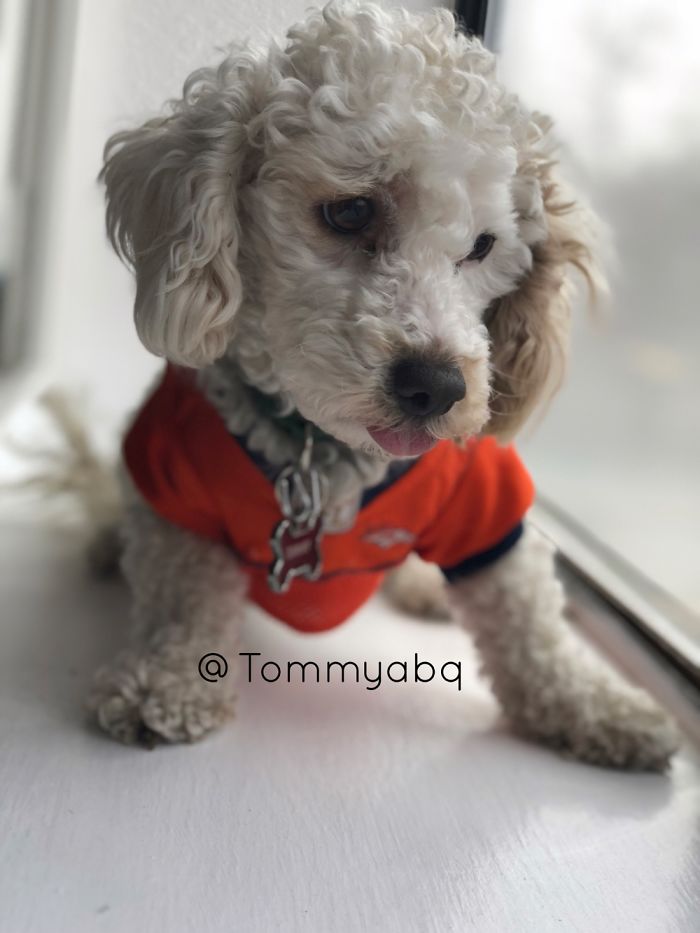 Tommy Tom Tom Pickles Here.