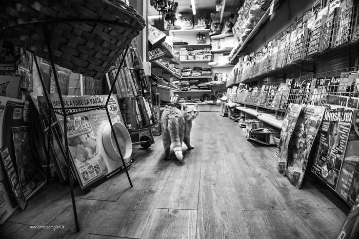 Nando At The Newsstand