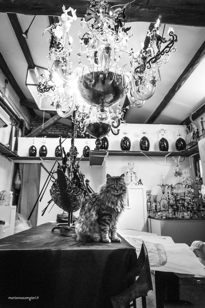 Giuda At The Glass Laboratory