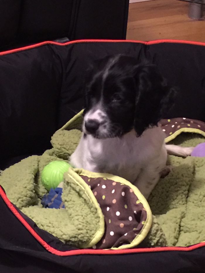 On Her First Day In Our Home.