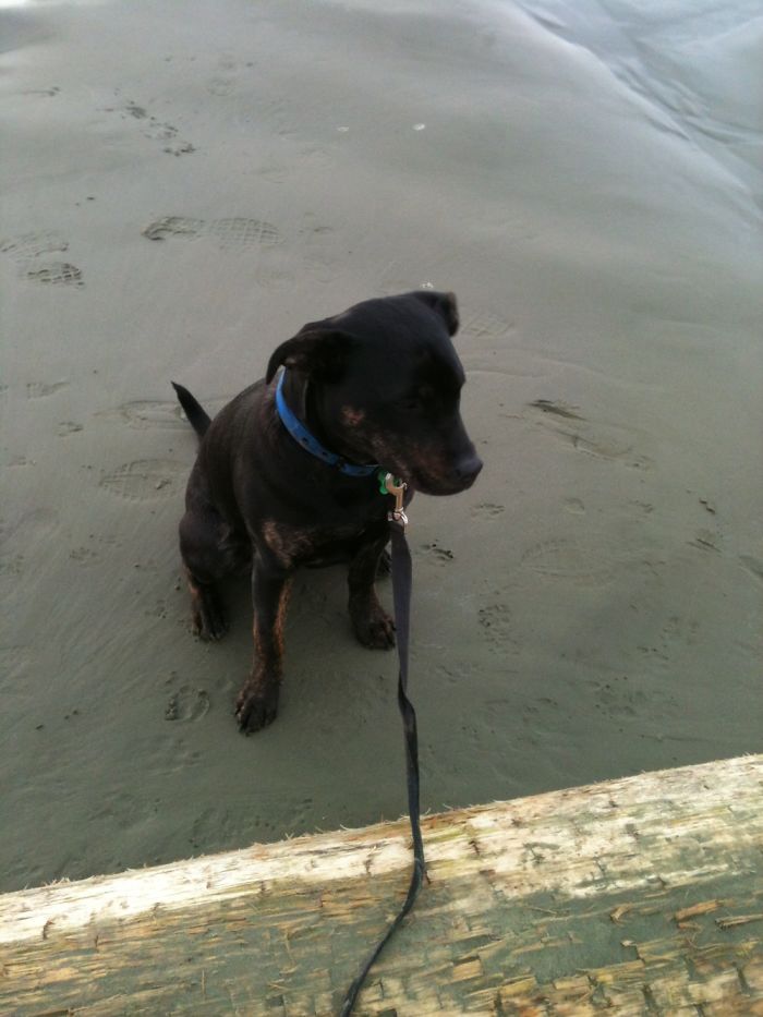 Misty’s First Time To The Beach