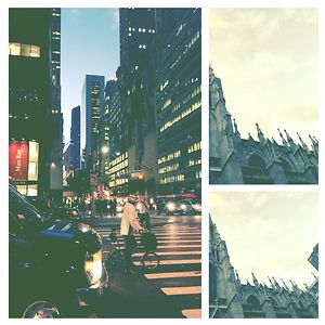 marjoriewilson avatar