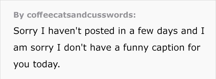 Text post by coffeecatsandcusswords about not posting in a few days and lacking a funny caption. Text post by coffeecatsandcusswords about not posting in a few days and lacking a funny caption.