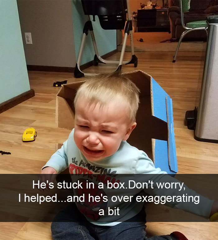 He's Stuck In A Box. Don't Worry, I Helped... And He's Over Exaggerating A Bit
