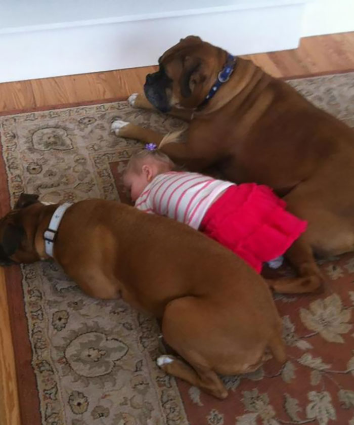 We Sleep Next To You Because We Love You Little Human