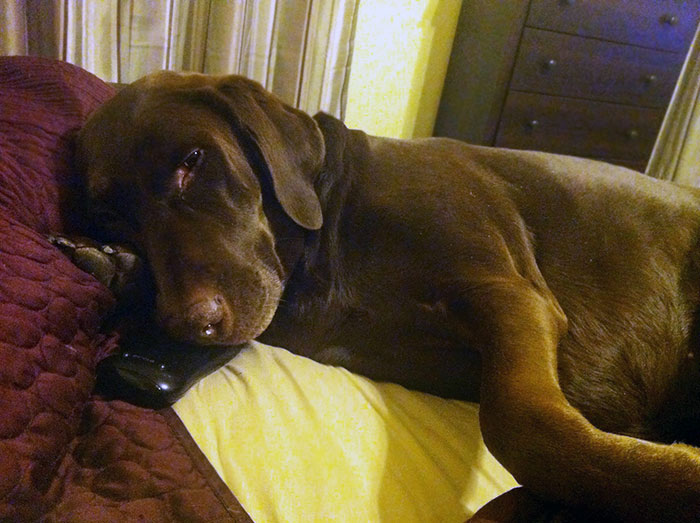 Had A Sad Night Last Night - Woke Up To This Girl. She's Always Got My Back